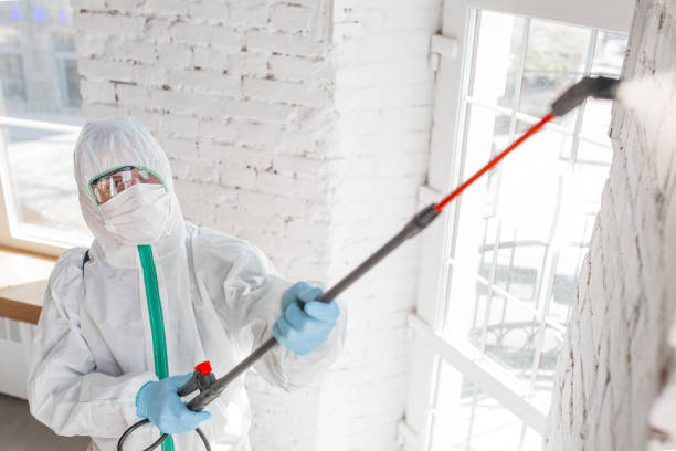 Mold Remediation for Vacation Homes in Northgate, OH