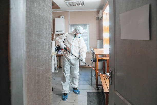 Best Mold Removal for HVAC Installations  in Northgate, OH