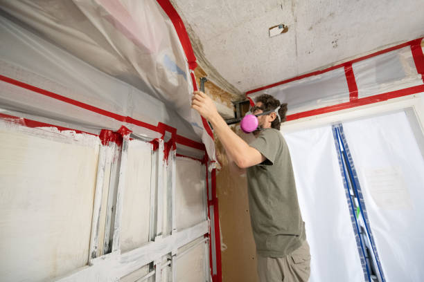 Trusted Northgate, OH Mold Inspection, Removal & Remediation Experts